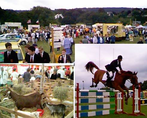 [The 122nd Bingley Show - the crowds (top), the goats (left) and Karl Fuller (right) takes 7th spot on Quattro]