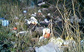 [McRubbish litters Valley Road]
